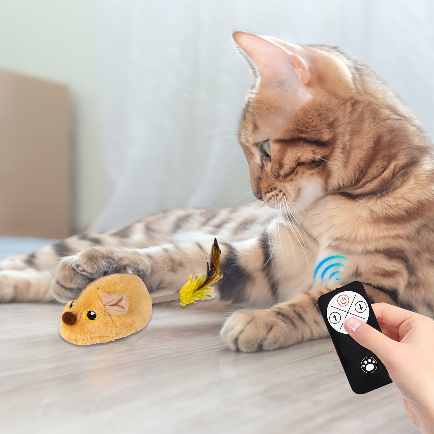 Remote Controlled Pet Toys